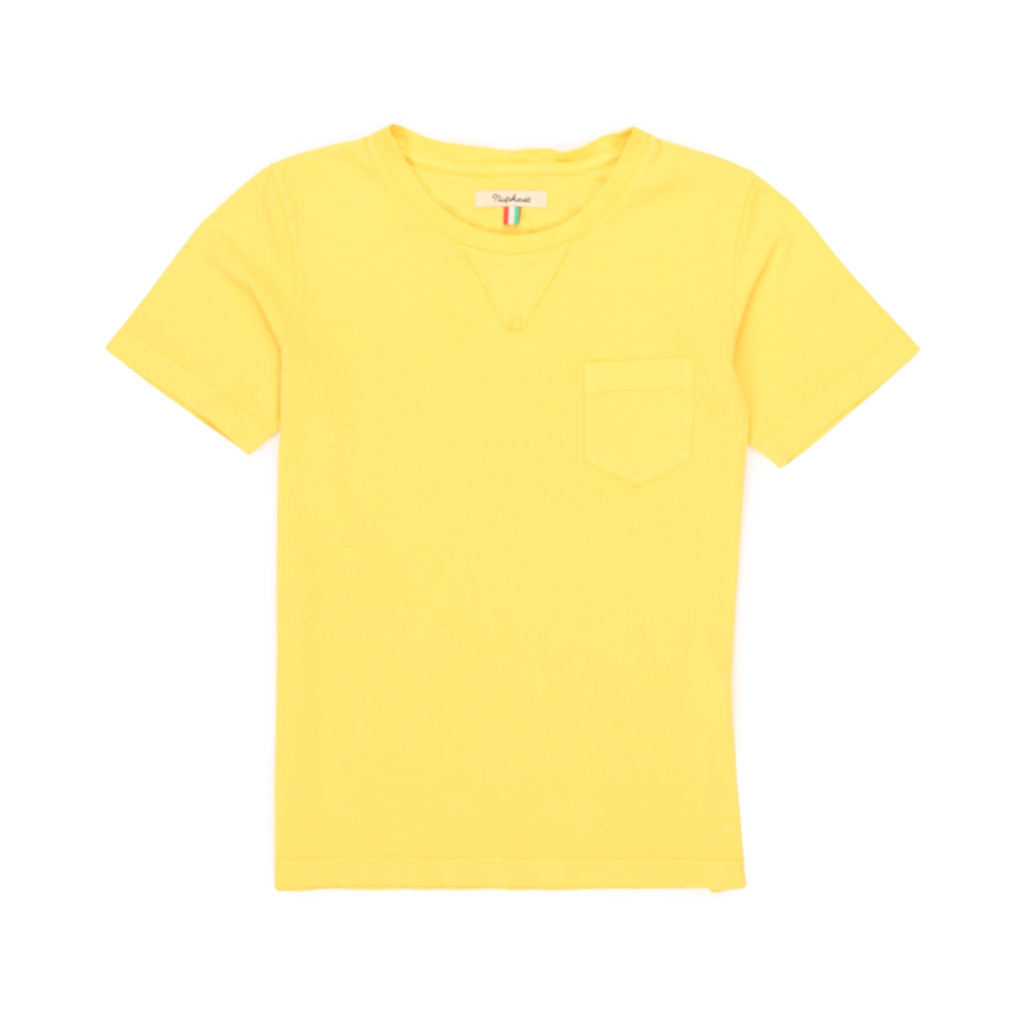 Ginestra